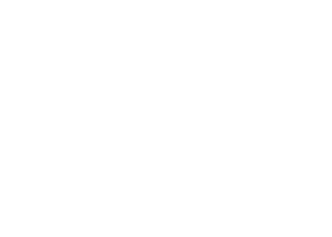 pizza png