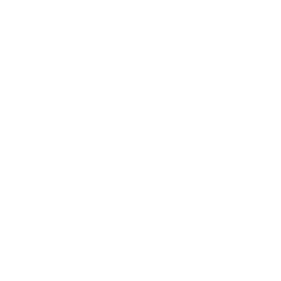 bebedas